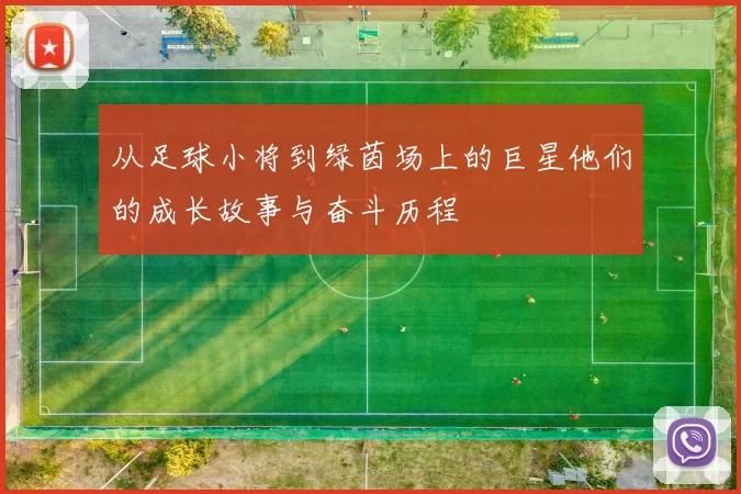 从足球小将到绿茵场上的巨星他们的成长故事与奋斗历程