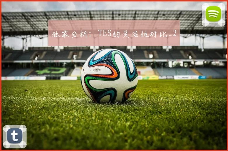独家分析：TES的灵活性对比_2