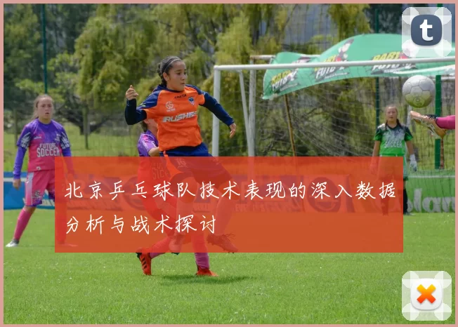 北京乒乓球队技术表现的深入数据分析与战术探讨