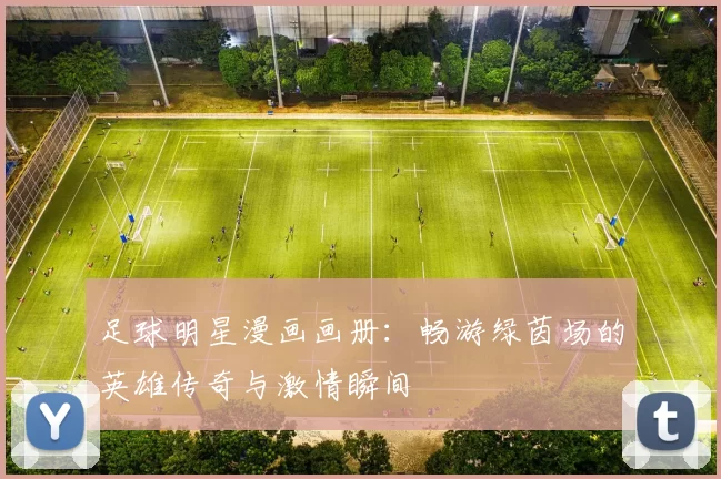 足球明星漫画画册：畅游绿茵场的英雄传奇与激情瞬间
