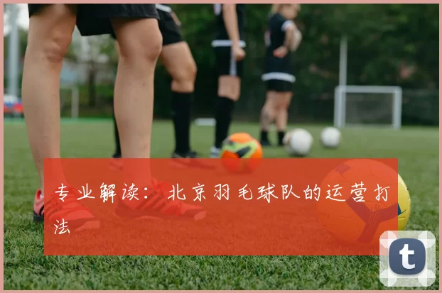 专业解读：北京羽毛球队的运营打法