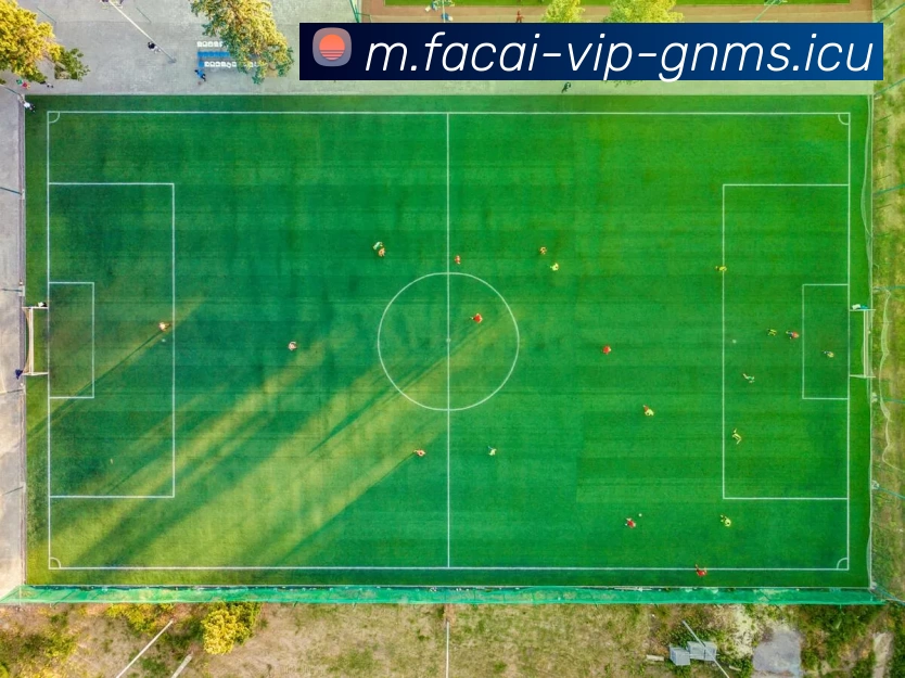 九游体育品牌故事